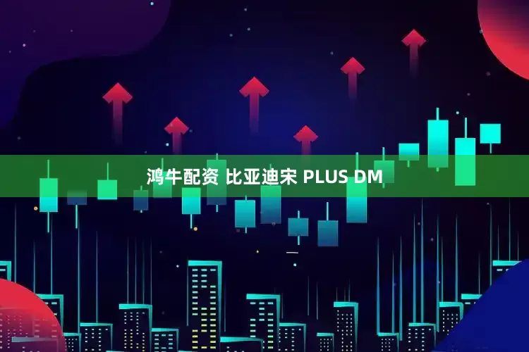 鸿牛配资 比亚迪宋 PLUS DM