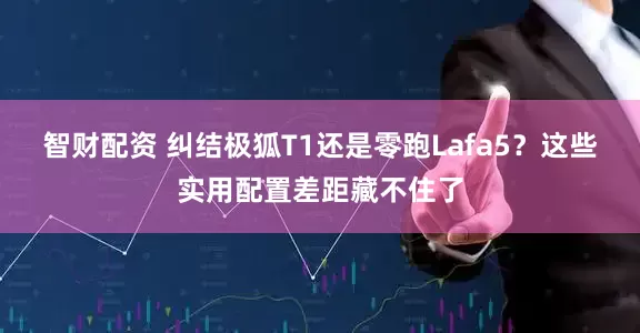 智财配资 纠结极狐T1还是零跑Lafa5？这些实用配置差距藏不住了