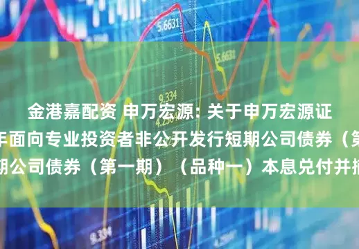 金港嘉配资 申万宏源: 关于申万宏源证券有限公司2025年面向专业投资者非公开发行短期公司债券（第一期）（品种一）本息兑付并摘牌的公告